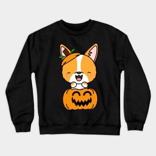 Funny corgi is in a pumpkin Crewneck Sweatshirt